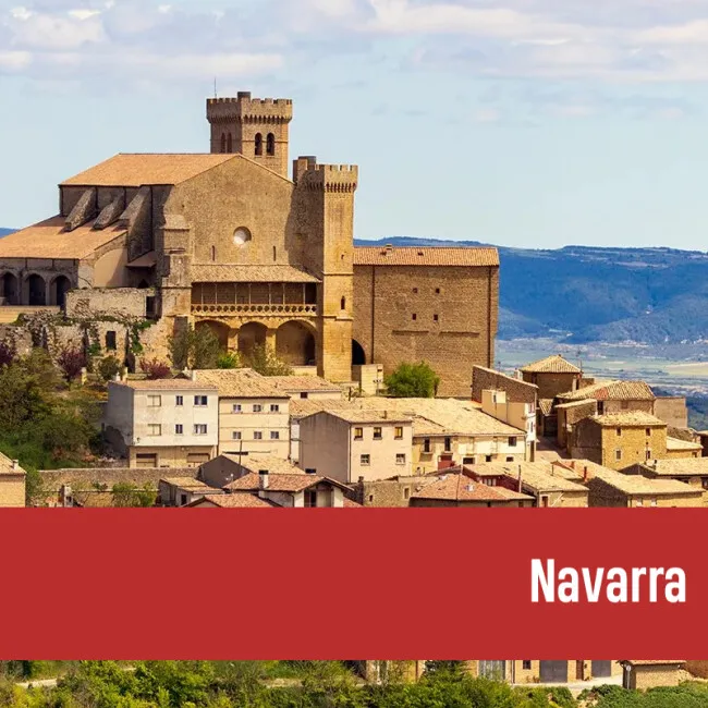 Extranjería Navarra